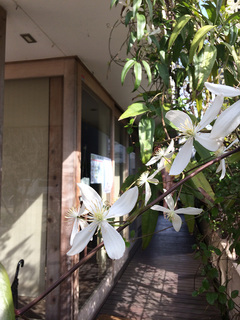 2014-04-01 09.13.49.jpg